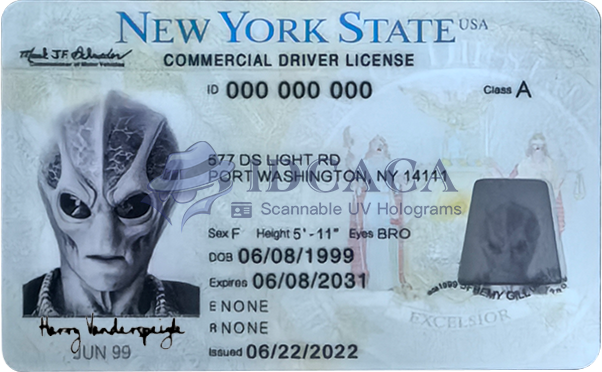 New York CDL
